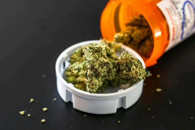 Polícia Civil apreende 100 tijolos de maconha em Sapiranga